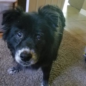 Meet your Posher, Carrie